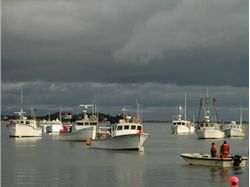 Chatham Dayboat Fleet