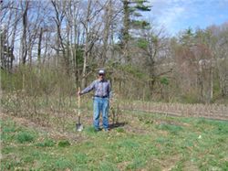 Jim Walizer Orchard