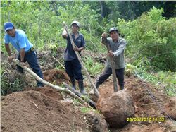 Preparing the Garden Plot