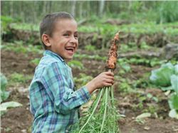 Boy & carrot thumbnail