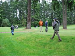 Salmon-Safe Meadow Park Assessment