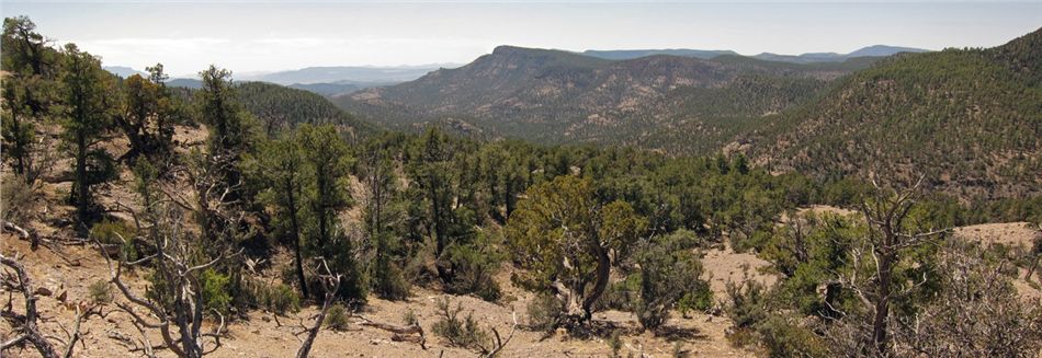 Panorama Gila National Forest