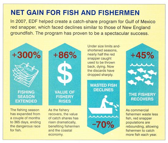 Red Snapper Chart