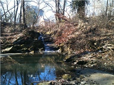 Coquelin Run-Riparian buffer.jpg