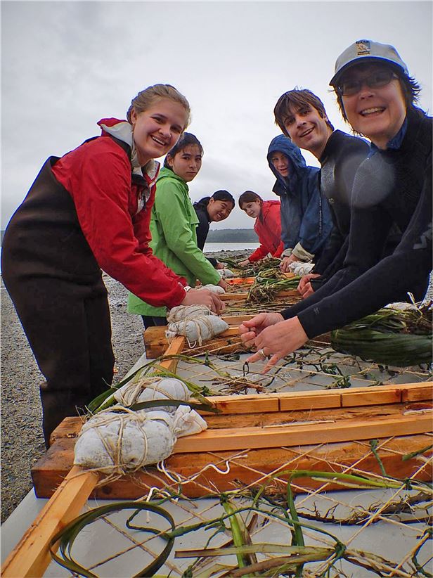 Tying eelgrass to grids