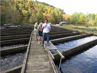 Sunburst Trout Co. sells "sustainable farm-raised rainbow trout"