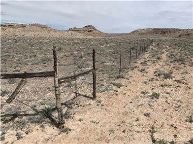 Park cattle exclosure