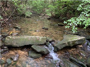 Clear stream flowing from the Bad Branch State Nature Preserve, KY