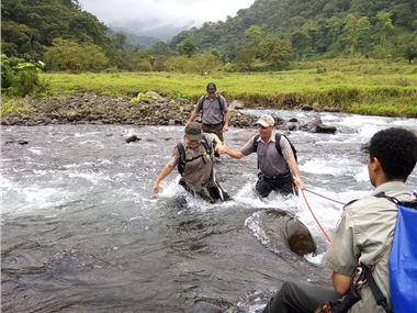 Forest rangers patrol the CER