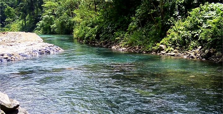 Rio Peñas Blancas, Children's Eternal Rainforest