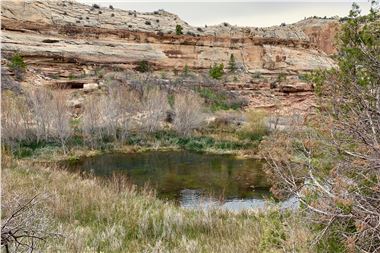 Calf Creek Beaver Pond