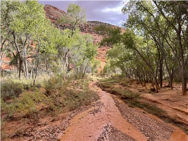 Sediment in stream following rain shower